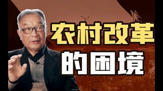 ⁣温铁军：面对地方政府只亲资本的困境，我们开展农村试验区以改变局面【温铁军践闻录】