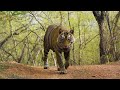 India 4K - Scenic Relaxation Film With Inspiring Music Mp3 Song