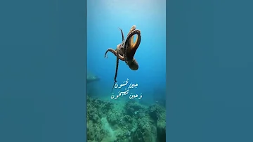 سبحان الله من خلق و سوى 