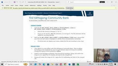 Excel Module 2 Sam End of Module Project 1 First Mittagong Community Bank