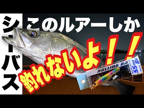 シーバス 秋 冬 シーバスの釣り方 おすすめルアー エソと共に シーバス 秋 冬 シーバスの釣り方 おすすめルアー エソと共に