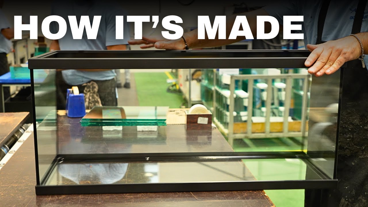 ВНУТРИ КРУПНЕЙШЕГО В ЕВРОПЕ ЗАВОДА ПО ПРОИЗВОДСТВУ АКВАРИУМОВ + Полная сборка акваскейпа