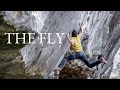 The fly v13