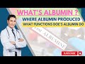 Albumin | What is Albumin test, Causes of High or Low Albumin, Functions & Normal Ranges #albumin