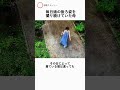毎日娘の後ろ姿を撮り続けていた母のサムネイル