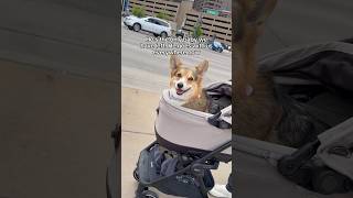 He Goes With Us Everywhere Now