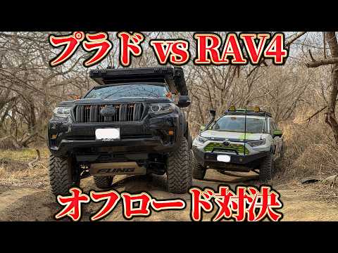 Off-road showdown] Prado vs. RAV4: Conquering a treacherous forest