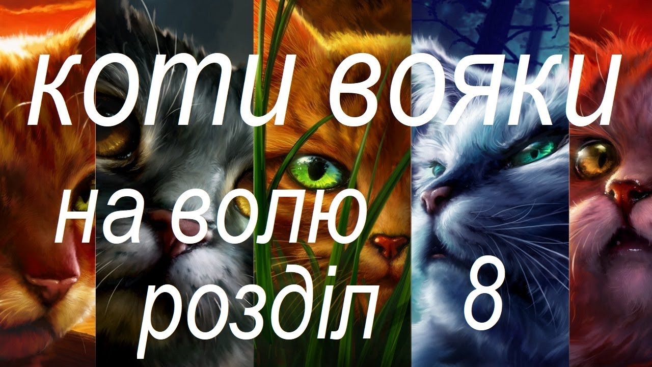 Нива на вояках