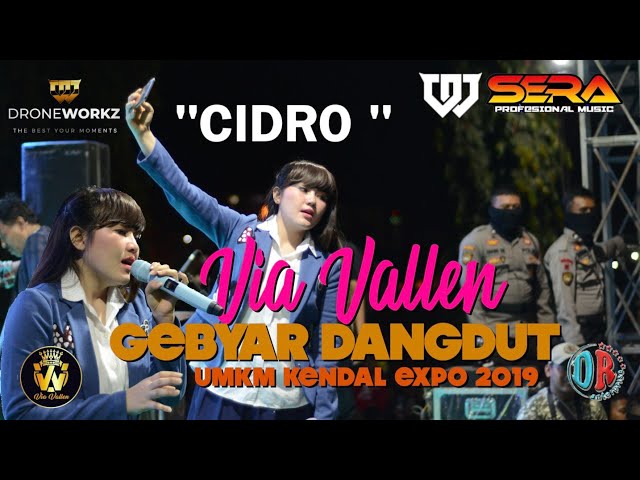 CIDRO || VIA VALLEN feat OM SERA || LIVE UMKM KENDAL EXPO 2019 class=