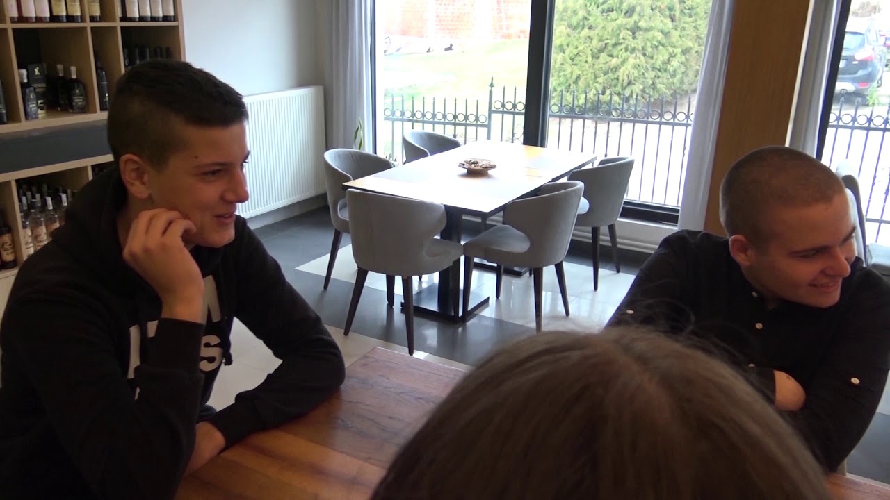 Једно путовање кроз Баточину