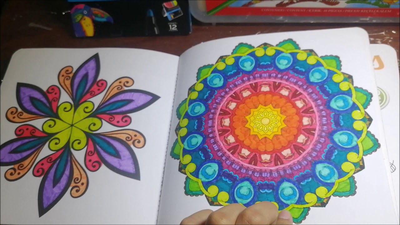 Libro de mandalas y mandalas animales y naturaleza Larousse ¿Como son por dentro?