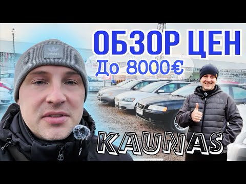 Видео: 🔥Цены🔥 на Автомобили до 8000€ в Литве 🔥автоподбор с клиентом