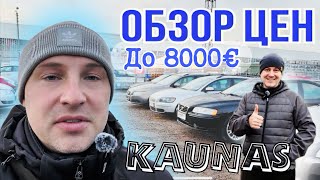 🔥Цены🔥 на Автомобили до 8000€ в Литве 🔥автоподбор с клиентом
