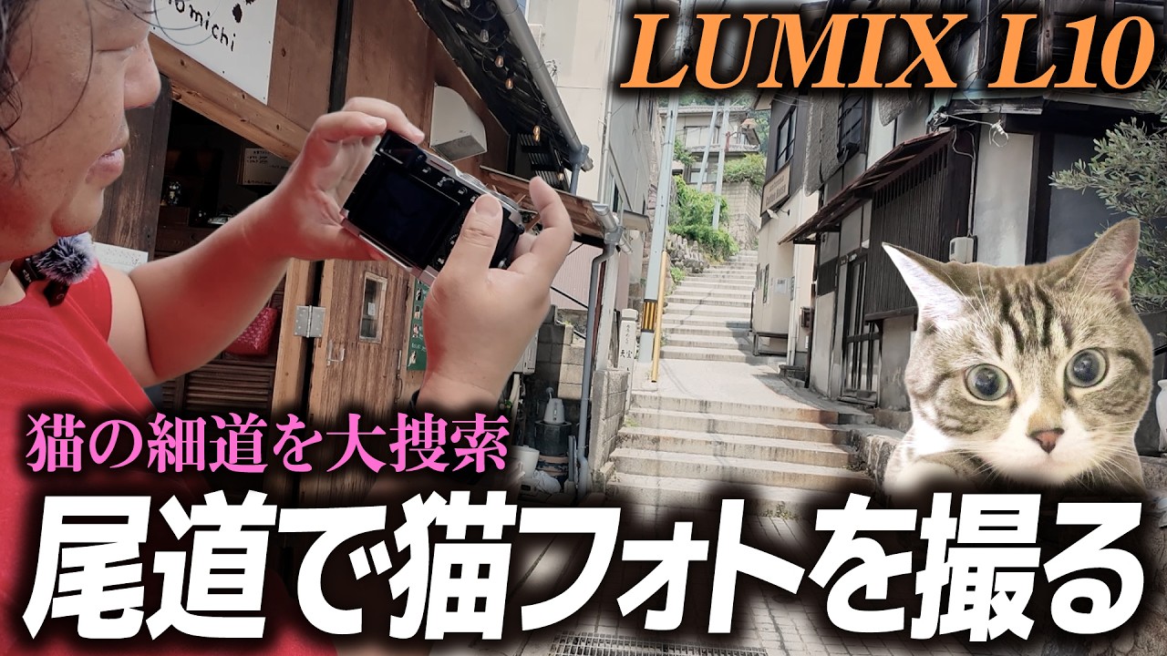 【LUMIX L10】猛暑の中、ネコを探し出せ!尾道猫の細道フォトウォーク/電光石火でかけぬけろ! #125