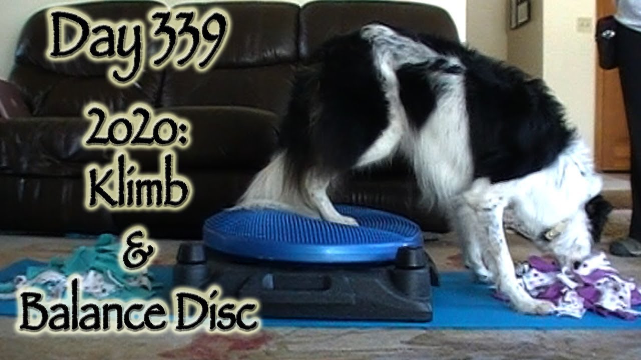 Day 339: 2o2o - Klimb and Balance Disc physical education
