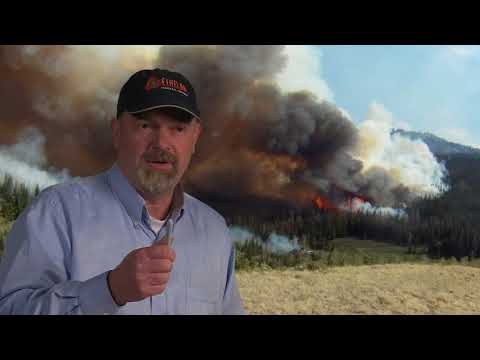 WFSTAR Latest Research On Estimating Safety Zones 