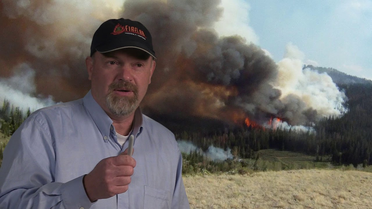 WFSTAR: Последние исследования по оценке зон безопасности