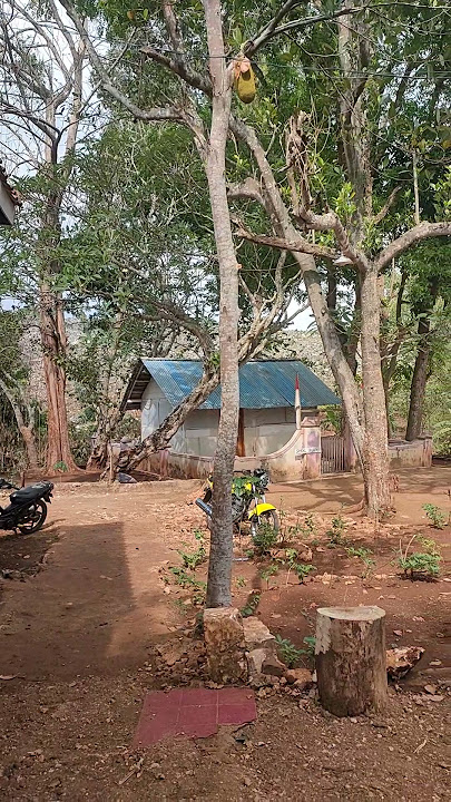 Makam syeh imam sanusi yang terletak di tengah2 pegunungan desa. Gua terus Montong tuban