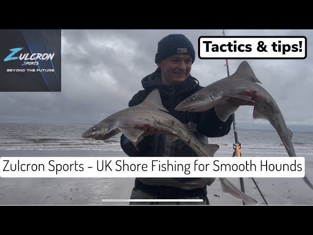 Zulcron Sports - UK Shore Fishing for BIG Smooth Hounds