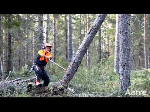 Video: Miten puut turvataan hurrikaanissa?