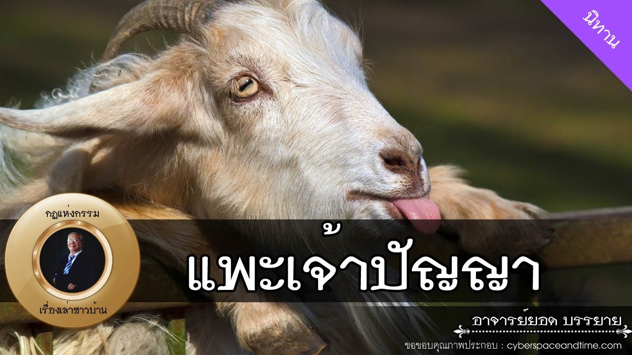 อาจารย์ยอด : แพะเจ้าปัญญา, เศรษฐีขี้เหนียว (ต่อ) [นิทาน] new