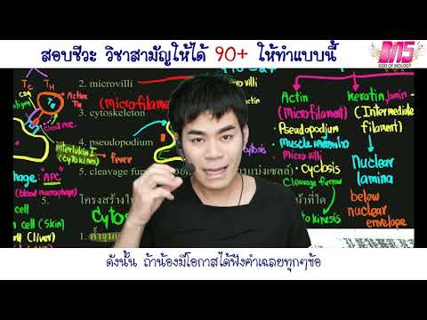 เทคนิคการทำคะแนนวิชาสามัญชีวะ ให้ได้เกิน90++