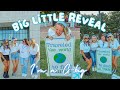 I'M A GRANDMA!! | BIG LITTLE REVEAL | Sigma Kappa | The University of Alabama