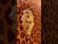 🐆 Leopard Print Rust? Magic Cleaner Dissolves It Instantly! ✨