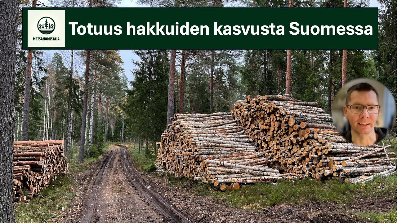 Totuus hakkuiden kasvusta Suomessa