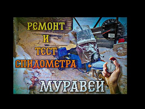 Муравей / Ремонт спидометра и тест