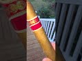 Romeo Y Juliette cigar