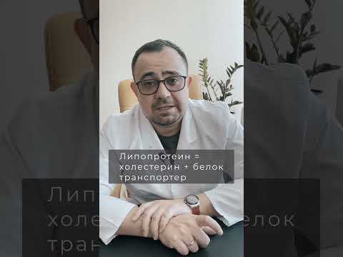 Липопротеины или транспортные белки. Хороший и плохой холестерин