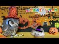 【ハリネズミ&フクロウ】~初めてのハロウィン!~『暇な武士が飼うペットの日常』