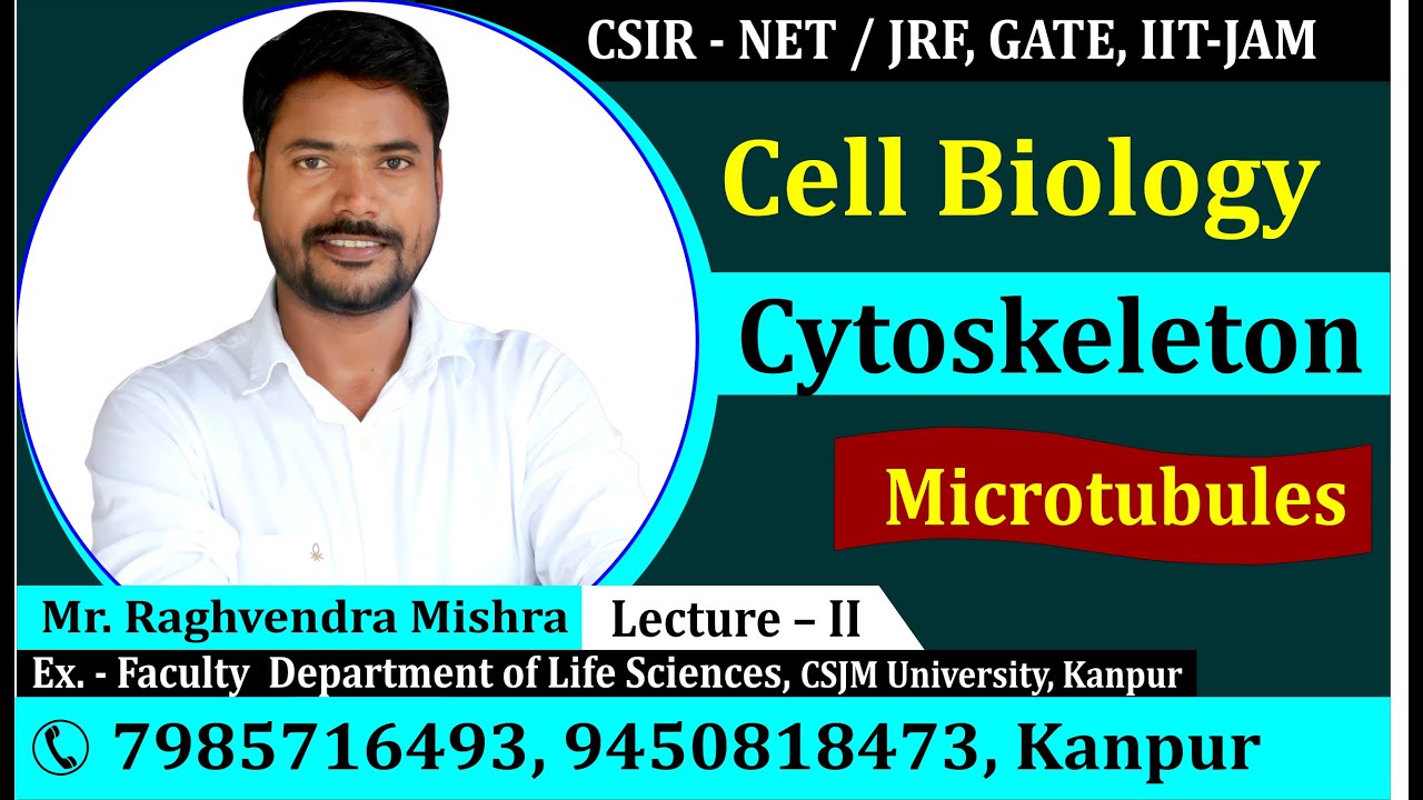 Microtubules Cytoskeleton Part 2 Cell Biology By Raghvendra Sir 