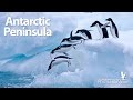 Antarctic Peninsula Photography Tour