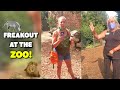 Public Freakout At The Zoo! | Best Public Freakouts