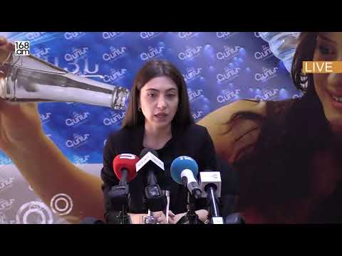 Հերթական կեղծիքի բացահայտում, այս անգամ Վրաստանի վարչապետի շուրթերով․ Աննա Մկրտչյան