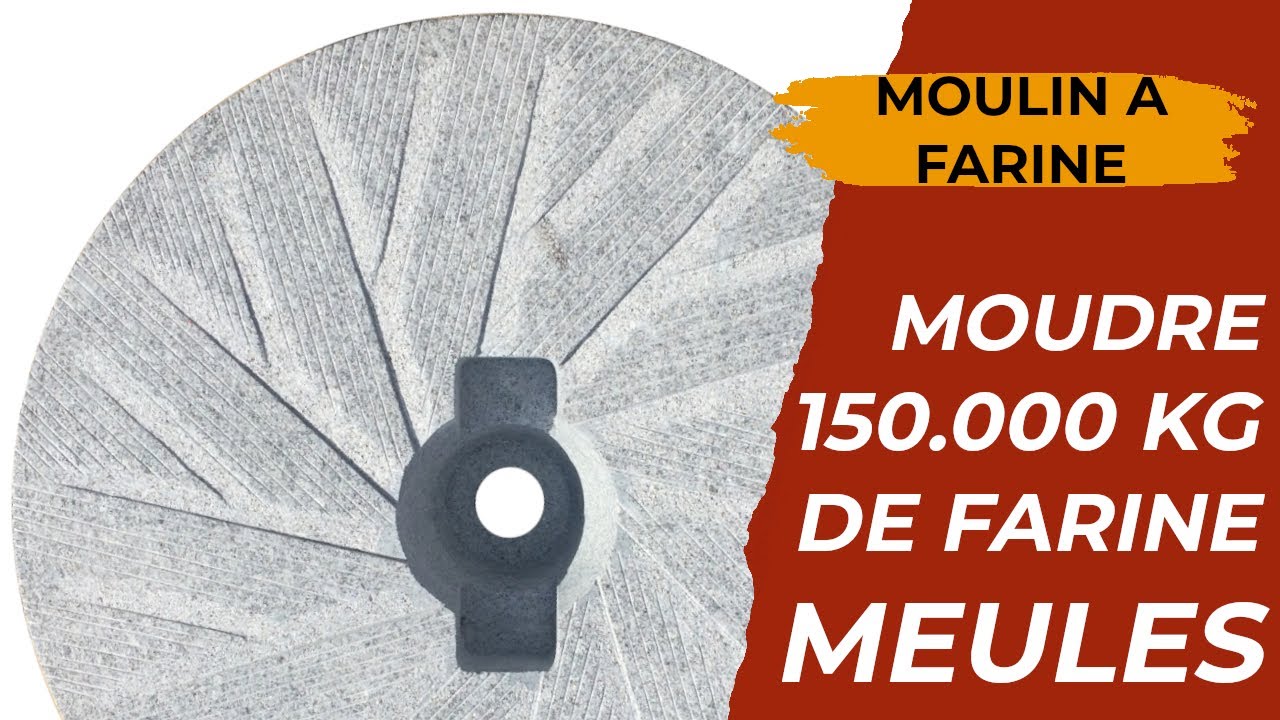 Micro-meunerie PRO100 pour nourrir 2000 personnes