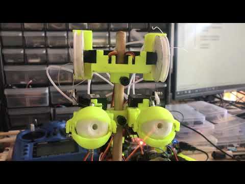 Animatronic Eyes -