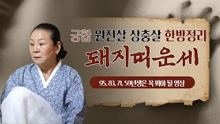 돼지띠운세 궁합 원진살 상충살 95년 83년 71년 59년생이 꼭 봐야될 영상 (feat.댓글참여자)