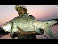 Fish hunting || incredible fishing ||  catching the 20 kg big monster catla fish & big rohu fish