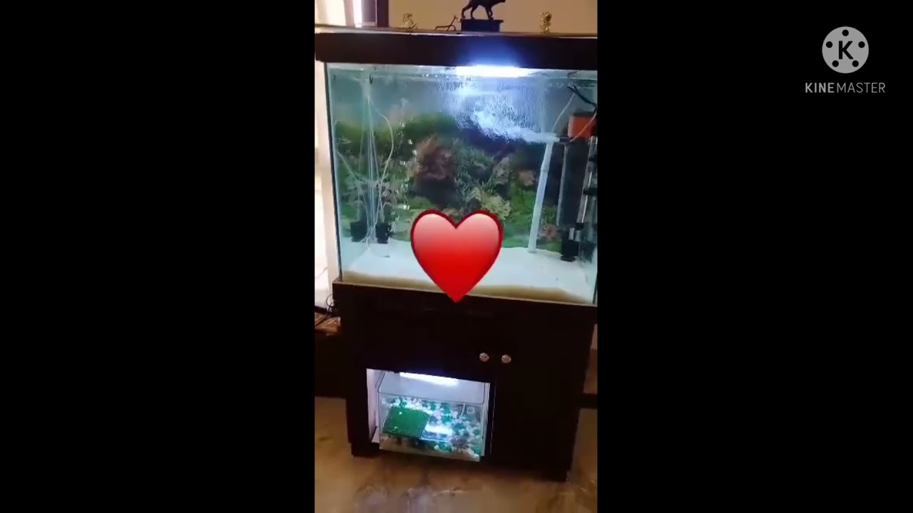 Attractive wood fish 🐟 tank stand .
