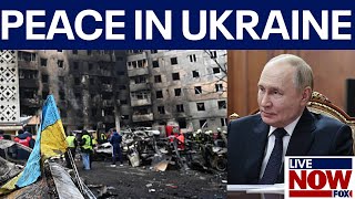 Panel: Ukraine accepts peace plan