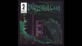 Buckethead - Space Viking (To Bernie Worrell, the Greatest Music Maker of All)