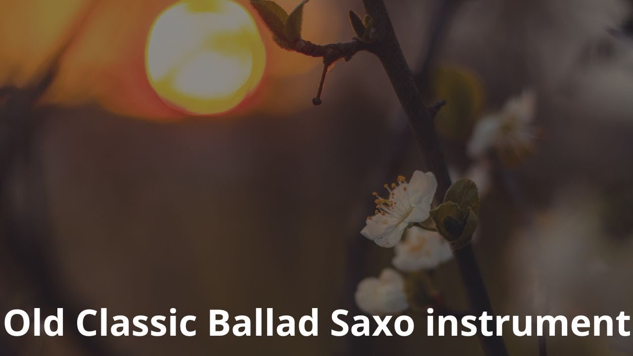 Classic Pop Ballad Saxophone 🎷 Warm Vinyl Instrumental | Relaxing & Romantic