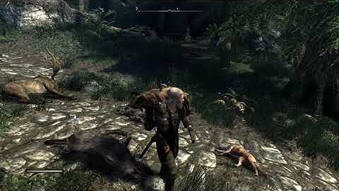 Skyrim SE | CYC With Animation Update 3.0