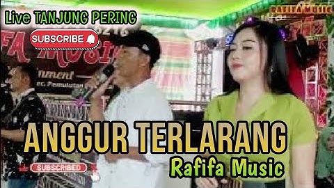 RAFIFA MUSIC | ANGGUR TERLARANG | LIVE TANJUNG PERING INDRALAYA OGAN ILIR | | Shapa WG Channel