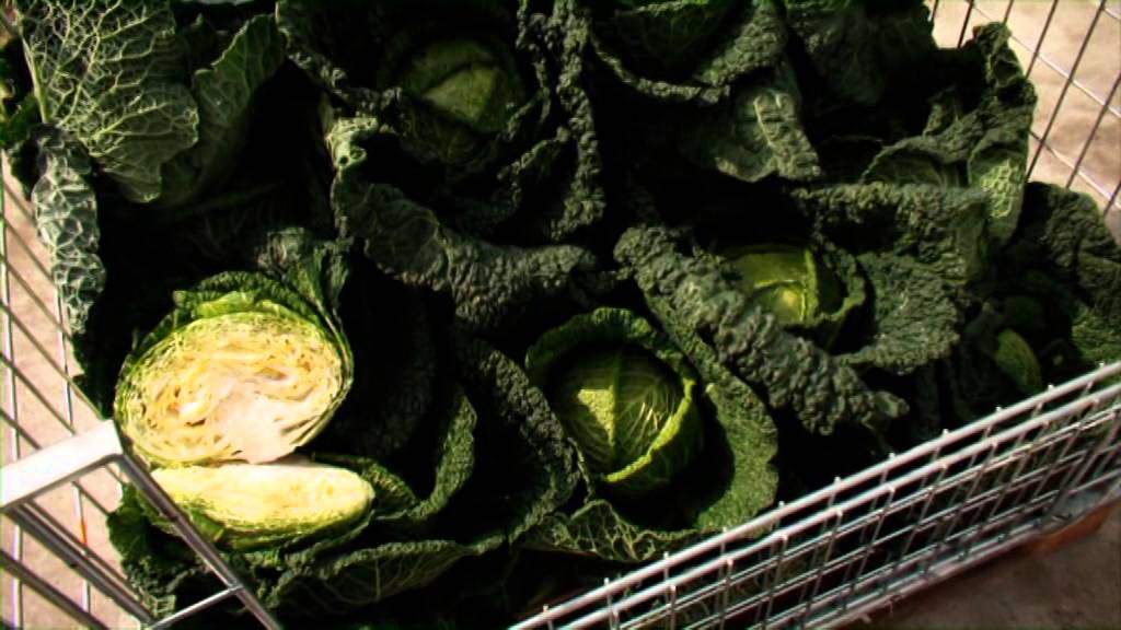 Kvedaru Farm (Kvedaru Ukis): Vegetables from Lithuania