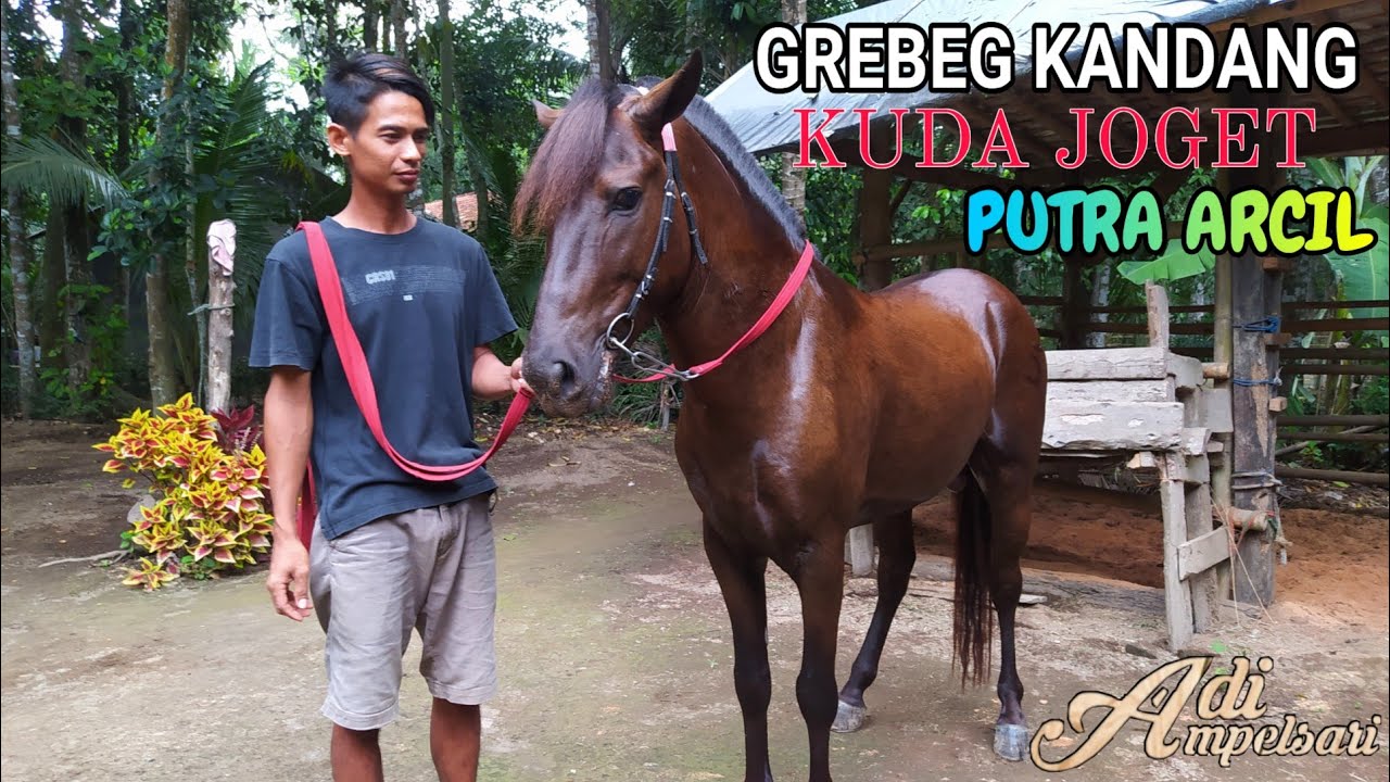 GREBEG KANDANG KUDA JOGET PUTRA ARCIL JOGOSIMA