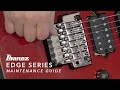 Edge Series Tremolo Bridge Maintenance Guide